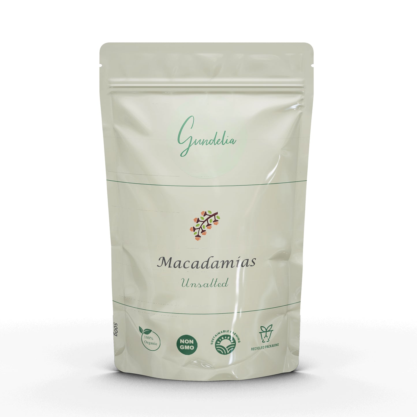 Brazilian Macadamia Nuts
