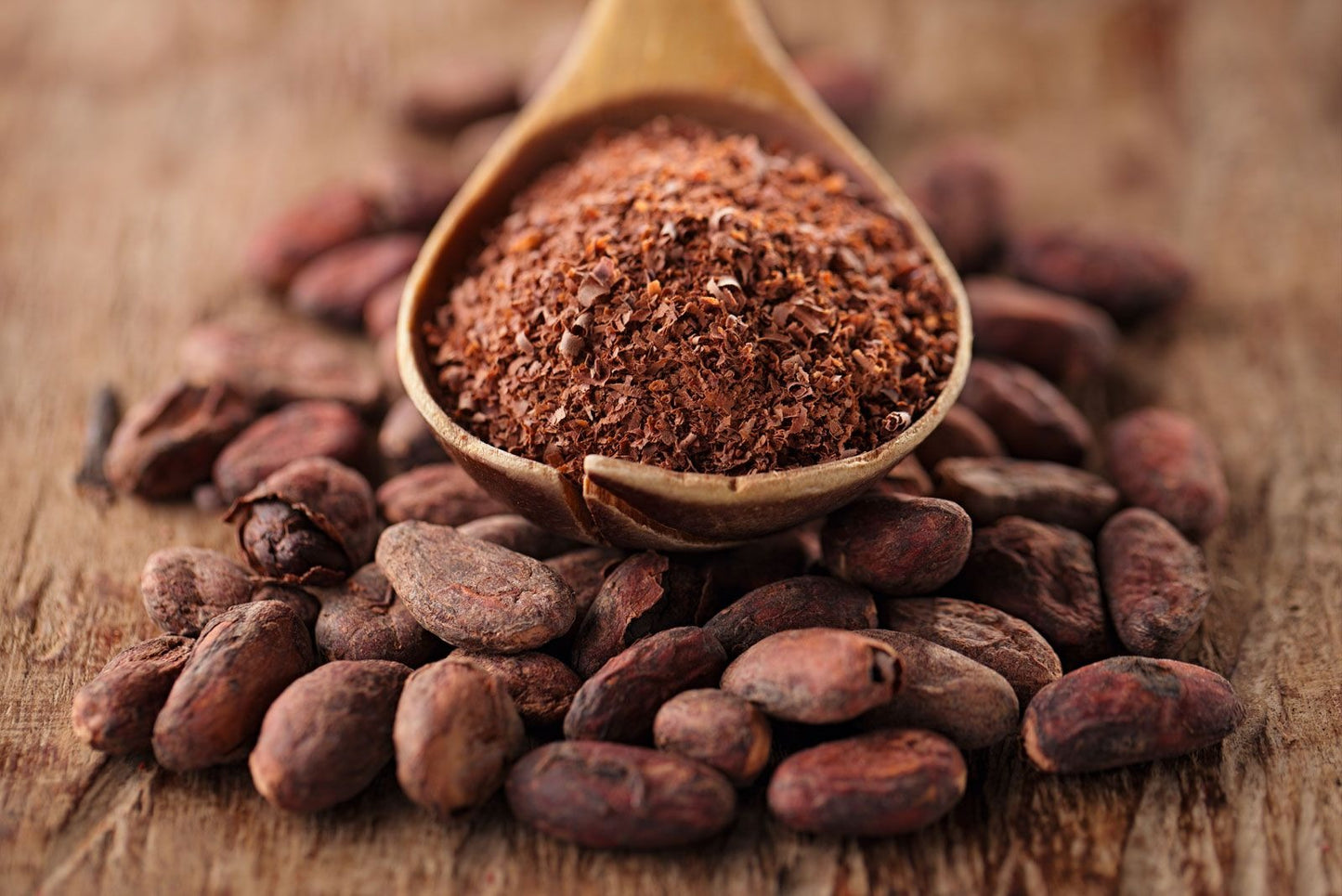 Indonesian Cacao Beans