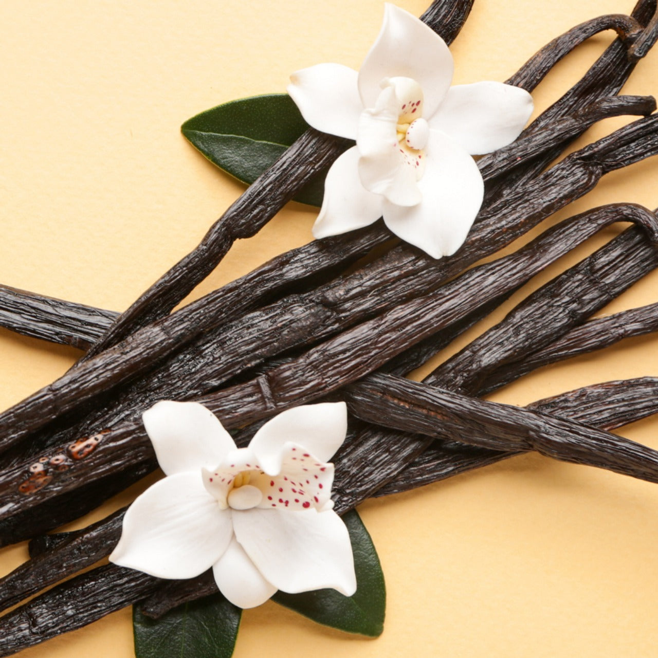 Vanilla Beans